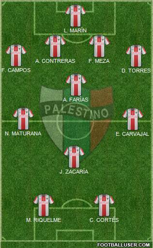 CD Palestino S.A.D.P. Formation 2015