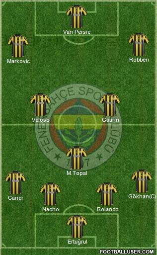 Fenerbahçe SK Formation 2015