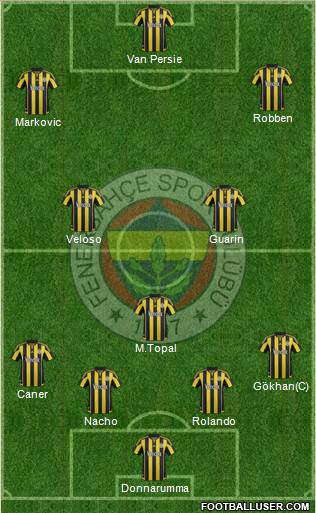 Fenerbahçe SK Formation 2015