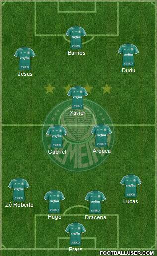 SE Palmeiras Formation 2015