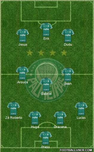 SE Palmeiras Formation 2015