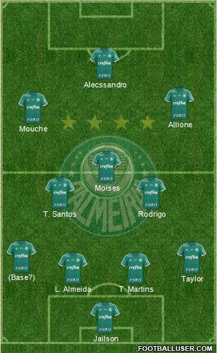 SE Palmeiras Formation 2015