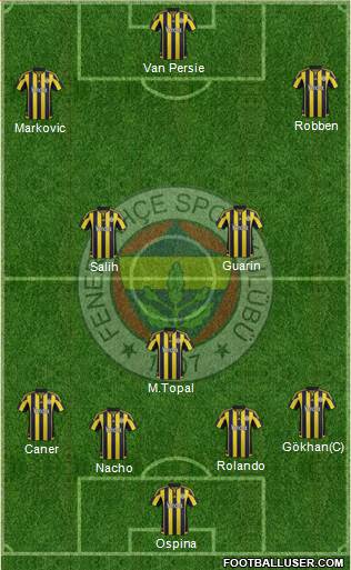 Fenerbahçe SK Formation 2015