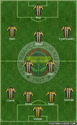 Fenerbahçe SK Formation 2015
