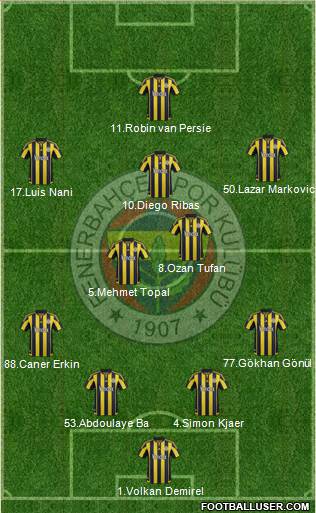 Fenerbahçe SK Formation 2015