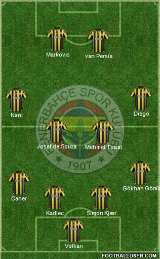 Fenerbahçe SK Formation 2015