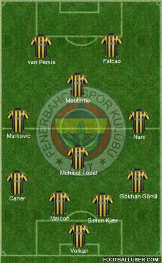 Fenerbahçe SK Formation 2015