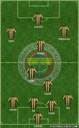 Fenerbahçe SK Formation 2015