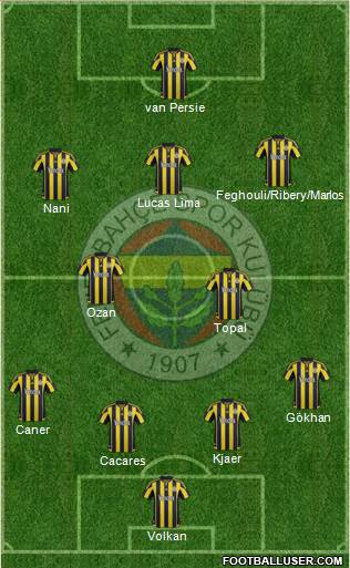 Fenerbahçe SK Formation 2015