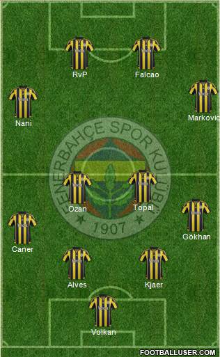 Fenerbahçe SK Formation 2015