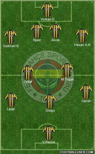 Fenerbahçe SK Formation 2015