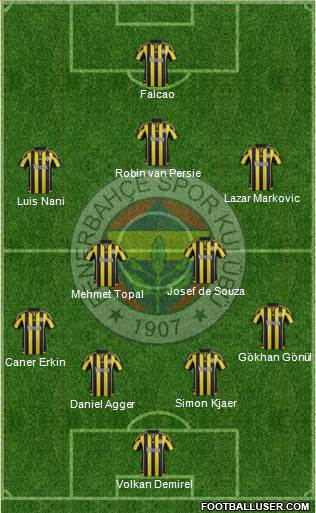Fenerbahçe SK Formation 2015