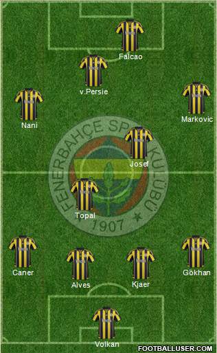 Fenerbahçe SK Formation 2015