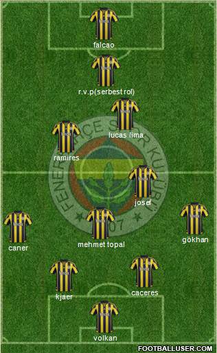 Fenerbahçe SK Formation 2015