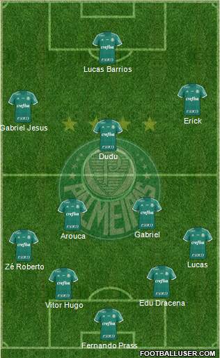 SE Palmeiras Formation 2015