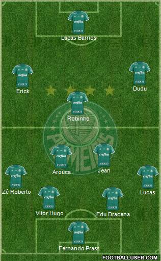 SE Palmeiras Formation 2015