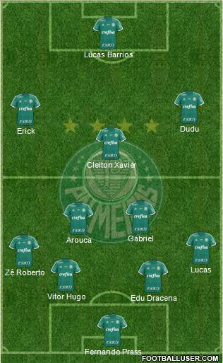 SE Palmeiras Formation 2015