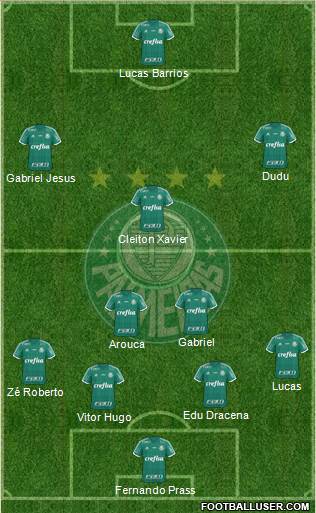 SE Palmeiras Formation 2015