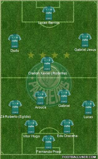 SE Palmeiras Formation 2015