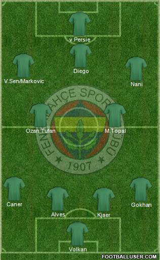 Fenerbahçe SK Formation 2015