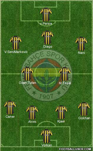 Fenerbahçe SK Formation 2015