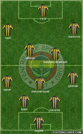 Fenerbahçe SK Formation 2015