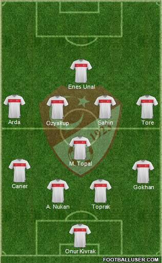 Turkey Formation 2015
