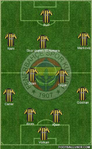 Fenerbahçe SK Formation 2015
