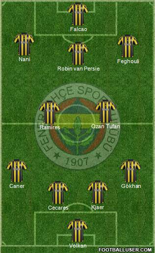 Fenerbahçe SK Formation 2015