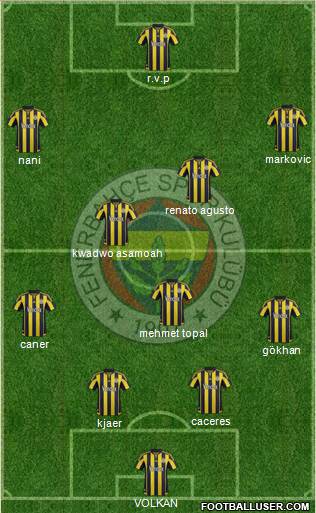 Fenerbahçe SK Formation 2015