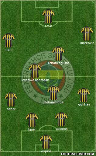 Fenerbahçe SK Formation 2015