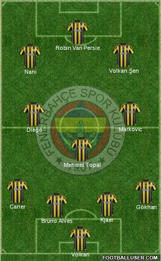 Fenerbahçe SK Formation 2015