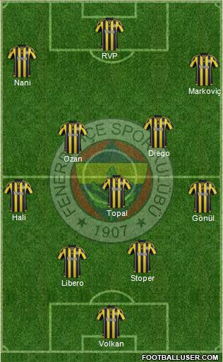 Fenerbahçe SK Formation 2015