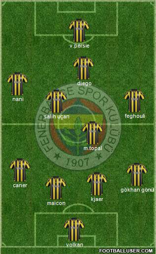 Fenerbahçe SK Formation 2015