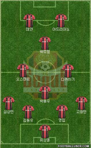 FC Seoul Formation 2015