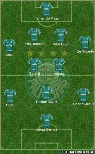 SE Palmeiras Formation 2015