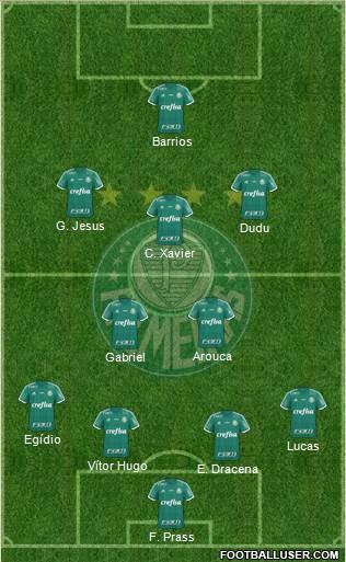 SE Palmeiras Formation 2015