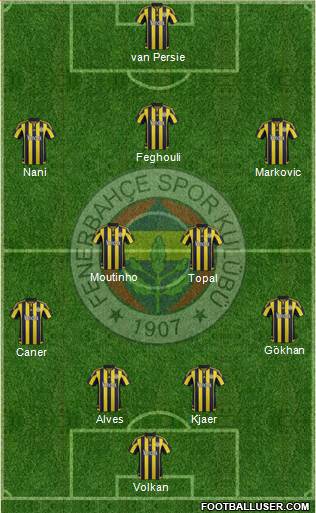 Fenerbahçe SK Formation 2015