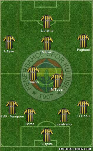 Fenerbahçe SK Formation 2016