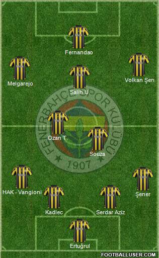 Fenerbahçe SK Formation 2016