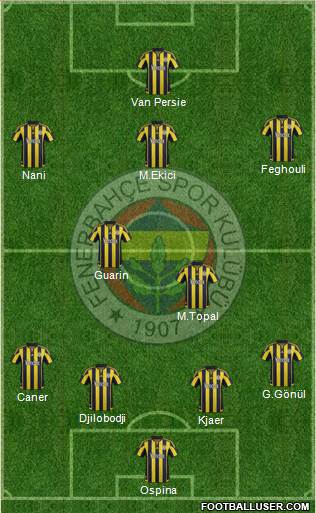 Fenerbahçe SK Formation 2016