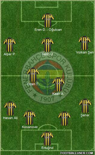 Fenerbahçe SK Formation 2016