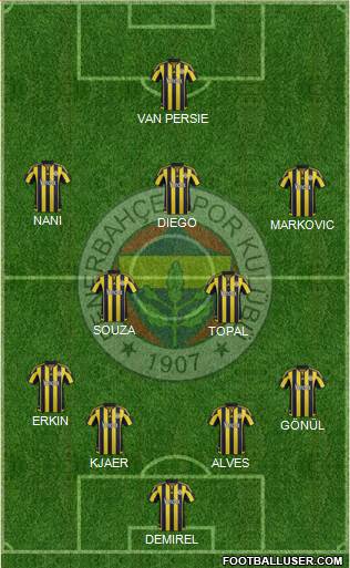 Fenerbahçe SK Formation 2016