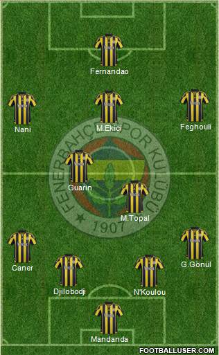 Fenerbahçe SK Formation 2016