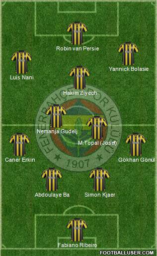 Fenerbahçe SK Formation 2016