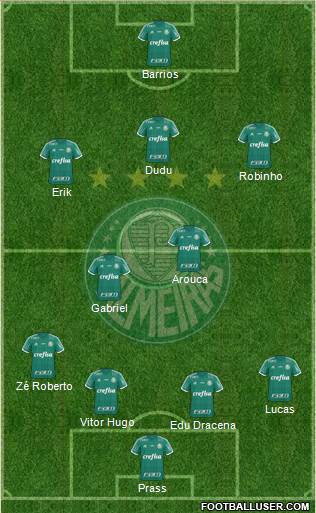 SE Palmeiras Formation 2016