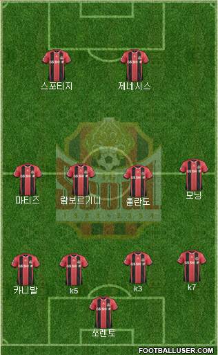 FC Seoul Formation 2016