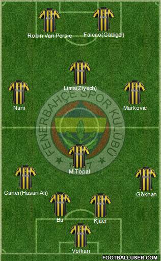 Fenerbahçe SK Formation 2016
