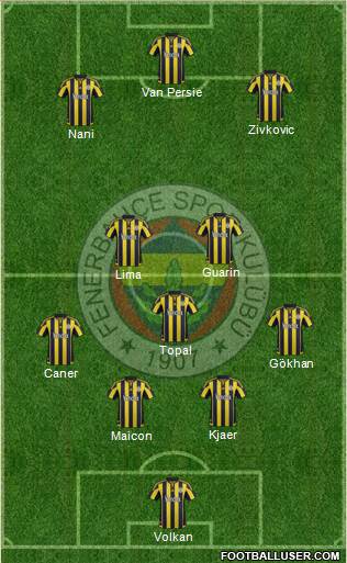 Fenerbahçe SK Formation 2016