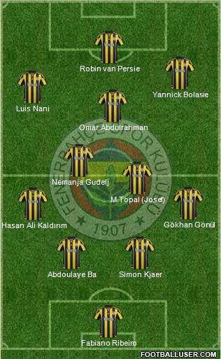 Fenerbahçe SK Formation 2016